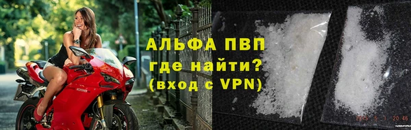 эйфоретик Баксан