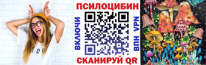 даркнет сайт  блэк спрут ссылка  Псилоцибиновые грибы Psilocybe  Верея 